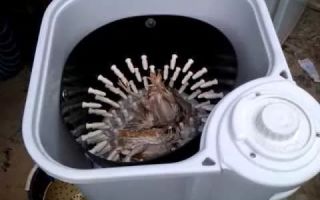 Создание перосъемной машины для ощипывания перепелов