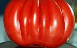 Описание и характеристики томата «Сто пудов»