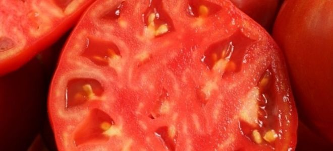 Выращивание и уход за томатом Джина