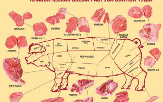 Правильная и быстрая разделка туши свинины