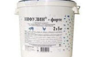 Применения Нифулин-Форте для голубей